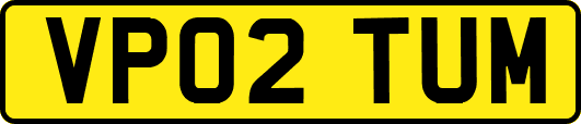 VP02TUM