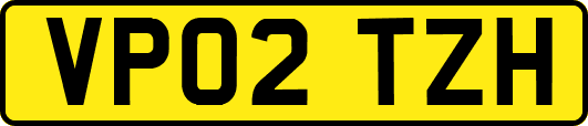 VP02TZH