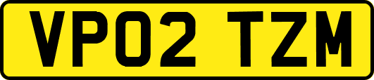 VP02TZM
