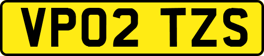 VP02TZS