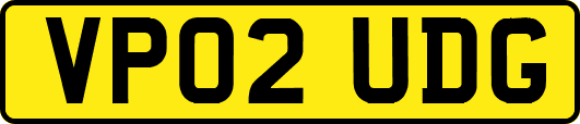 VP02UDG