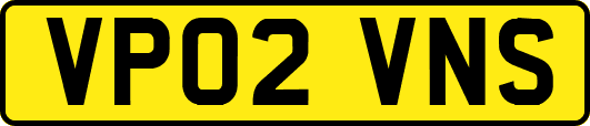 VP02VNS