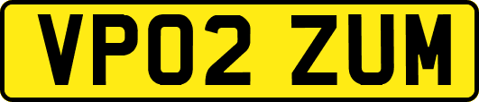 VP02ZUM