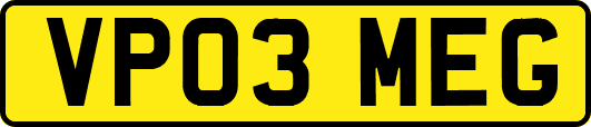 VP03MEG