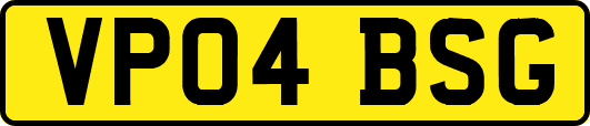 VP04BSG