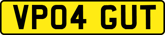 VP04GUT