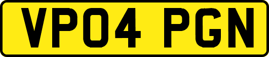 VP04PGN