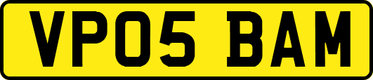 VP05BAM