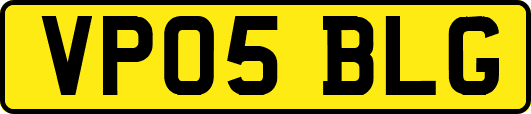 VP05BLG