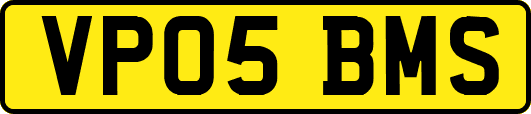 VP05BMS