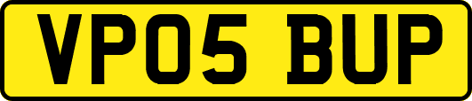 VP05BUP