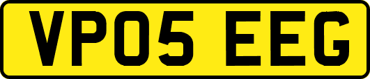 VP05EEG