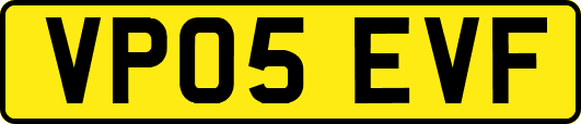 VP05EVF