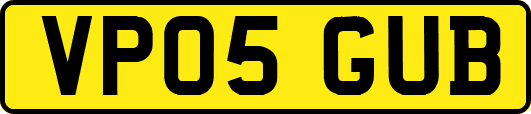 VP05GUB