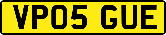 VP05GUE