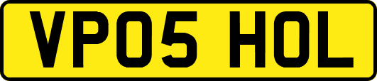 VP05HOL