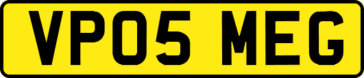 VP05MEG