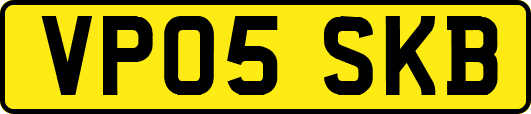 VP05SKB