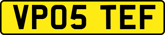 VP05TEF