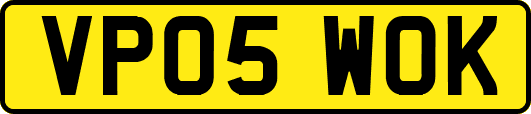 VP05WOK