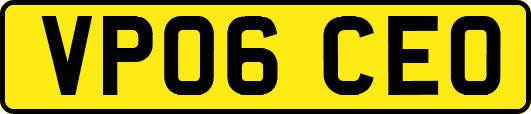 VP06CEO