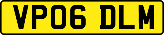 VP06DLM