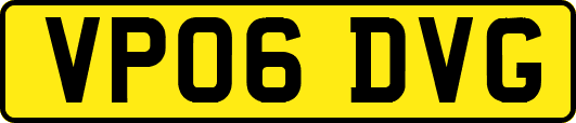 VP06DVG