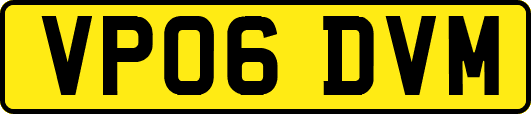 VP06DVM