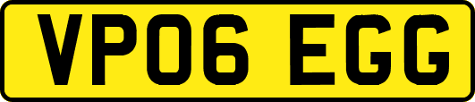 VP06EGG