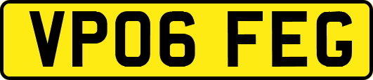 VP06FEG