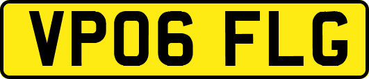 VP06FLG