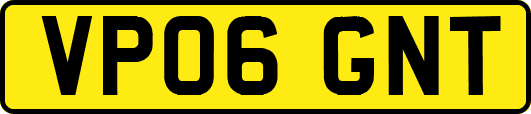 VP06GNT