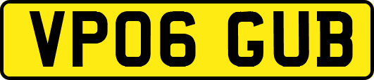 VP06GUB
