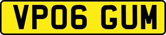VP06GUM