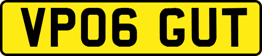 VP06GUT