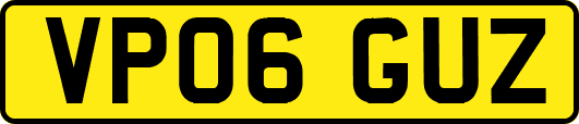 VP06GUZ