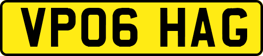 VP06HAG