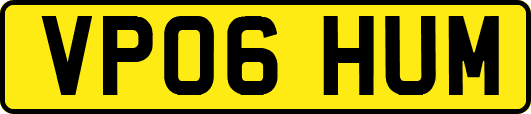 VP06HUM