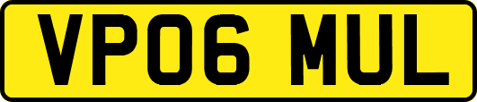 VP06MUL