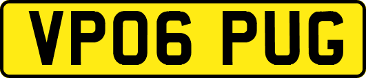 VP06PUG