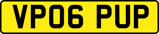 VP06PUP
