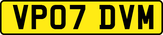 VP07DVM