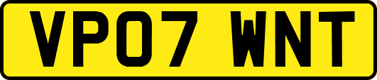 VP07WNT