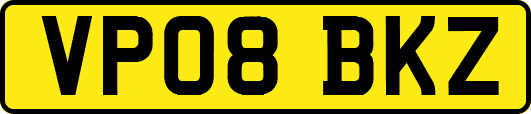 VP08BKZ