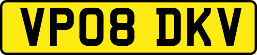 VP08DKV