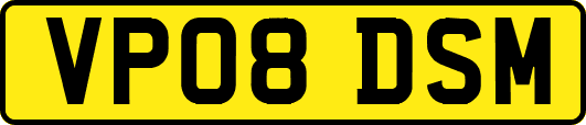 VP08DSM