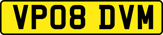 VP08DVM