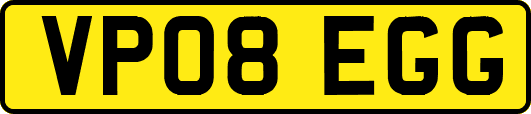 VP08EGG