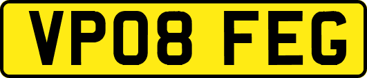 VP08FEG