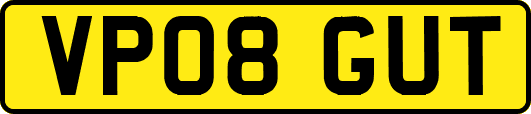 VP08GUT